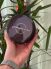 bronzeador choco bronze 120g